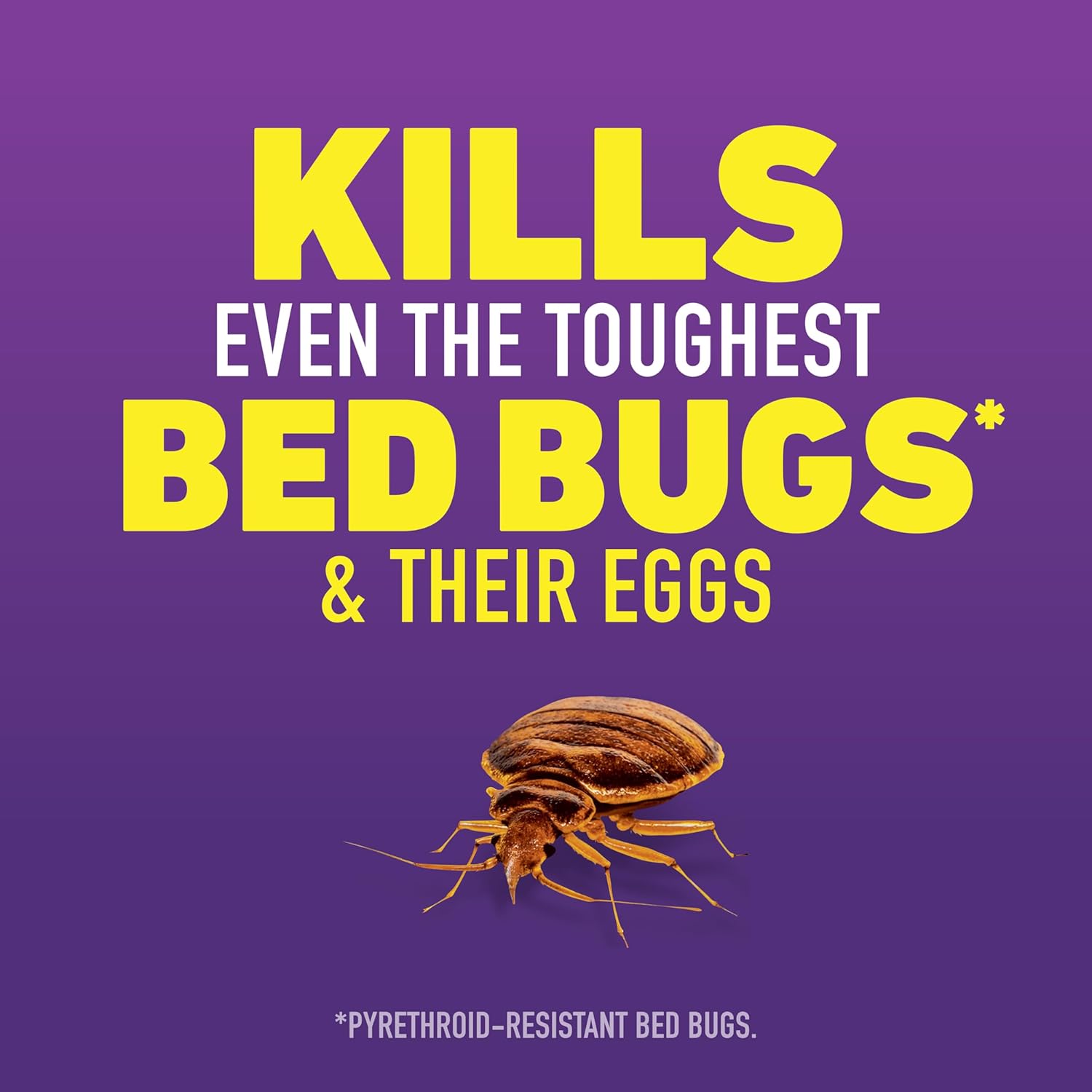Ortho Home Defense Max Bed Bug, Flea and Tick Killer with Comfort Wand, Bed Bug Spray, Kills Bed Bug Eggs, Fleas and Ticks, 1 gal.