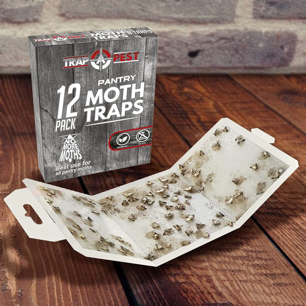 8 Pack Pantry Moth Traps- Safe and Effective for Food and Cupboard- Glue Traps with Pheromones for Pantry Moths