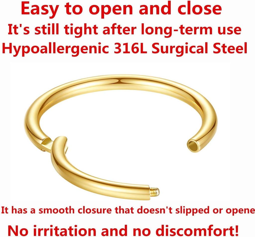 ORANGELOVE Hypoallergenic Nose Rings 20G 18G 16G 14G 12G 10G 8G 316l Surgical Steel Septum Jewelry Hinged Segment Ring Body Piercing Nose Hoop Lip Rings Nose Helix Cartilage Rook Earrings