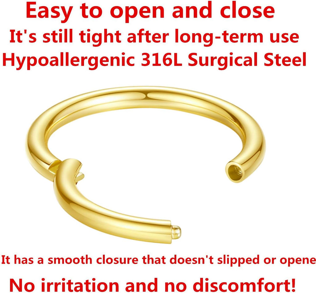ORANGELOVE Hypoallergenic Nose Rings 20G 18G 16G 14G 12G 10G 8G 316l Surgical Steel Septum Jewelry Hinged Segment Ring Body Piercing Nose Hoop Lip Rings Nose Helix Cartilage Rook Earrings
