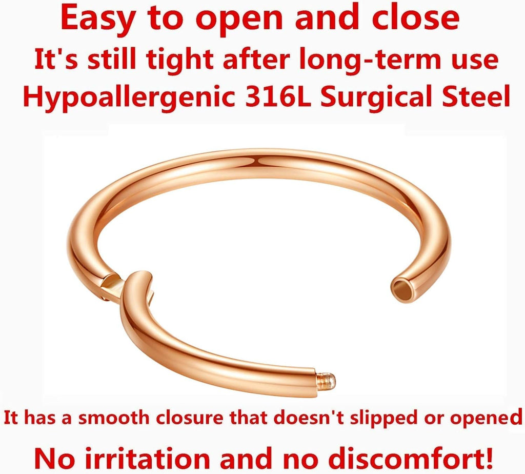 ORANGELOVE Hypoallergenic Nose Rings 20G 18G 16G 14G 12G 10G 8G 316l Surgical Steel Septum Jewelry Hinged Segment Ring Body Piercing Nose Hoop Lip Rings Nose Helix Cartilage Rook Earrings