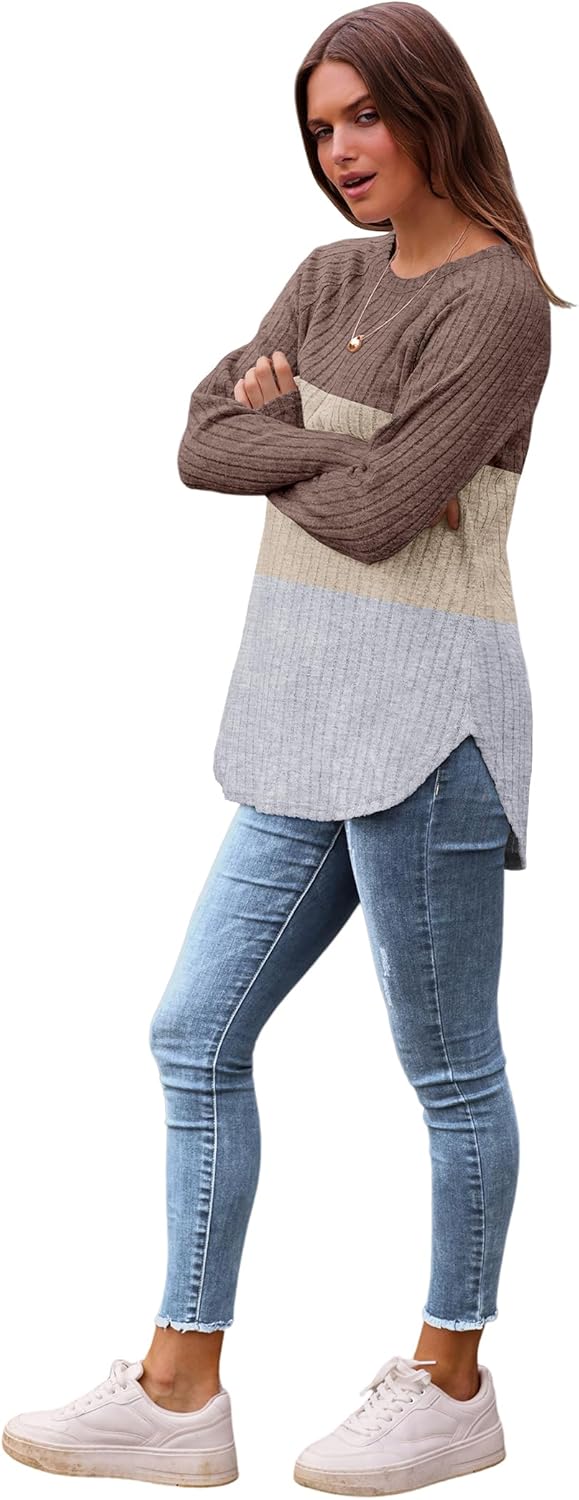 Saloogoe Long Sleeve Shirts for Women 2025 Fall Clothes Tunic Tops Loose Fit Dressy Crewneck Pullover Sweaters Curved Hem