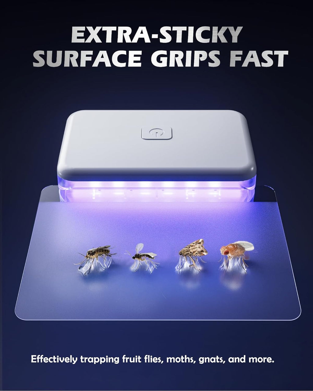 2 Pcs Fruit Fly Traps for Indoors (2 Device+10 Refills) Plug in UV Light Fly Trap for Gnats, Fruit Flies, Flying Insects Sleek Design Indoor Safe