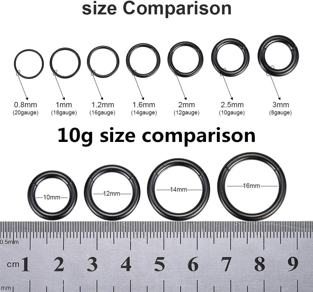 ORANGELOVE Hypoallergenic Nose Rings 20G 18G 16G 14G 12G 10G 8G 316l Surgical Steel Septum Jewelry Hinged Segment Ring Body Piercing Nose Hoop Lip Rings Nose Helix Cartilage Rook Earrings