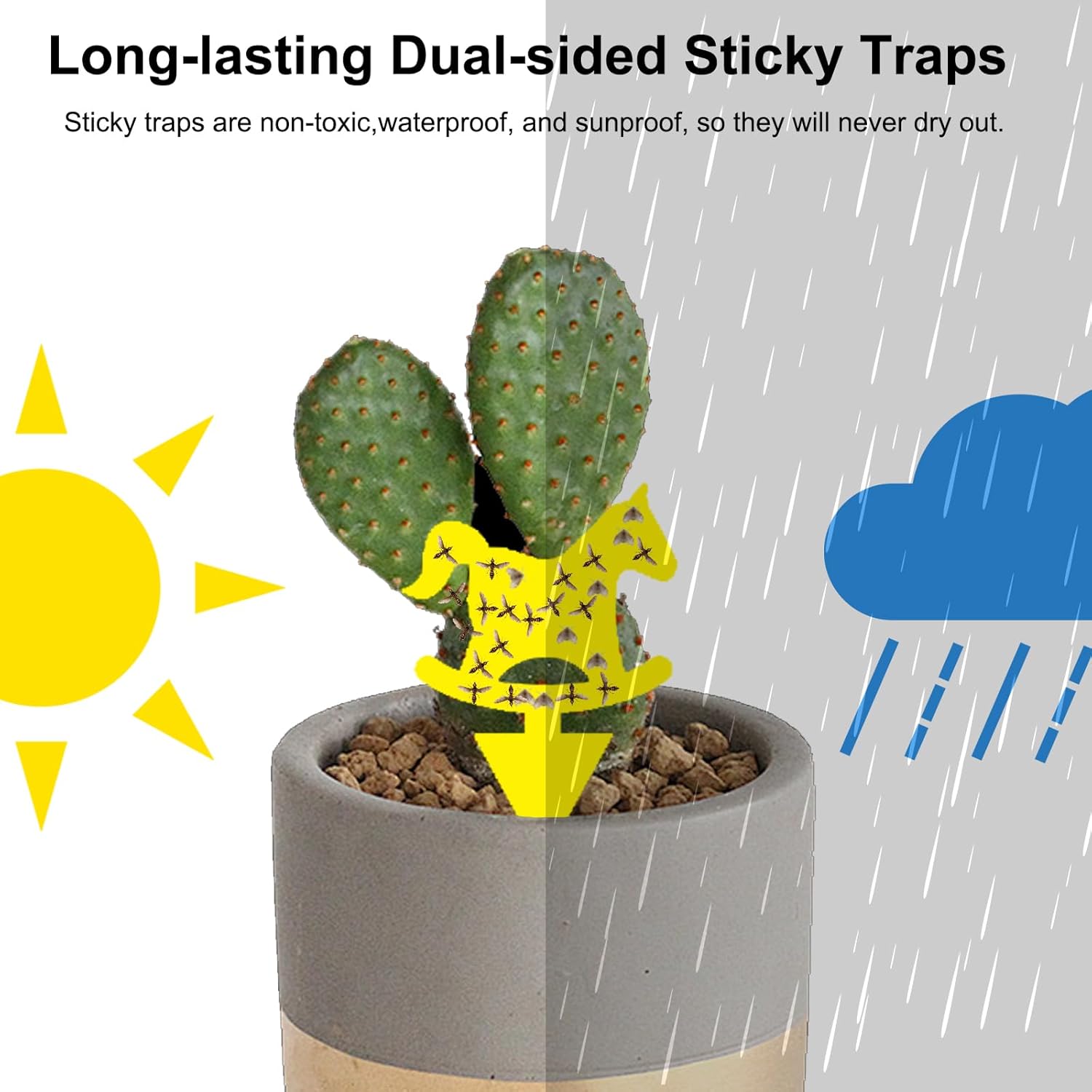 Fruit Fly Traps Fungus Gnat Traps Yellow Sticky Bug Traps 36 Pack No Harm and Odorless for Indoor Outdoor Use Protect The Plant