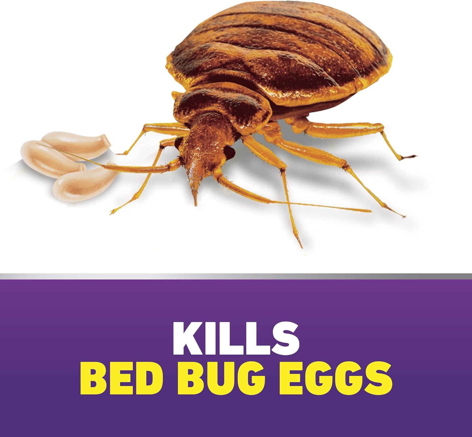 Ortho Home Defense Max Bed Bug, Flea and Tick Killer with Comfort Wand, Bed Bug Spray, Kills Bed Bug Eggs, Fleas and Ticks, 1 gal.