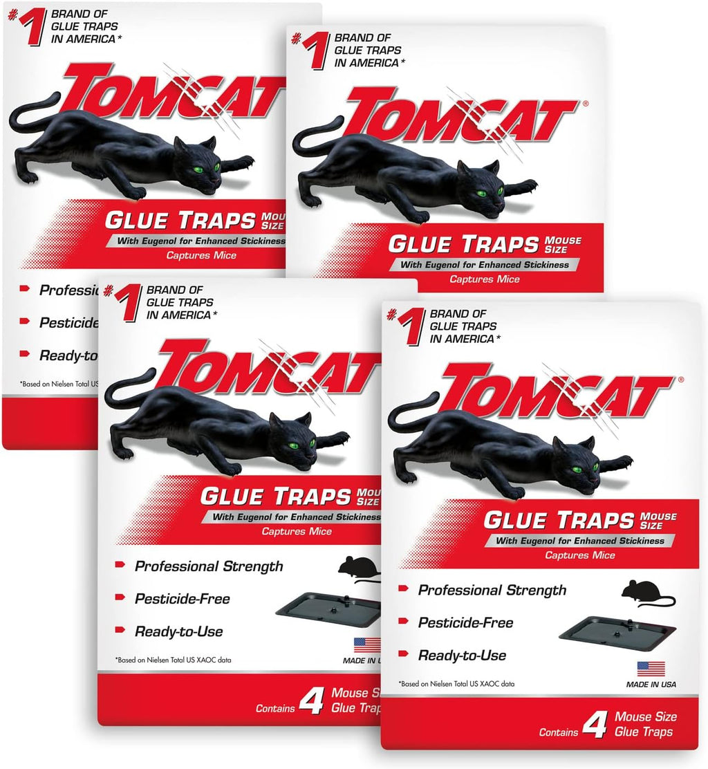 Tomcat Glue Traps Mouse Size with Eugenol for Enhanced Stickiness for Mice, Cockroaches, and Spiders, 6 Traps