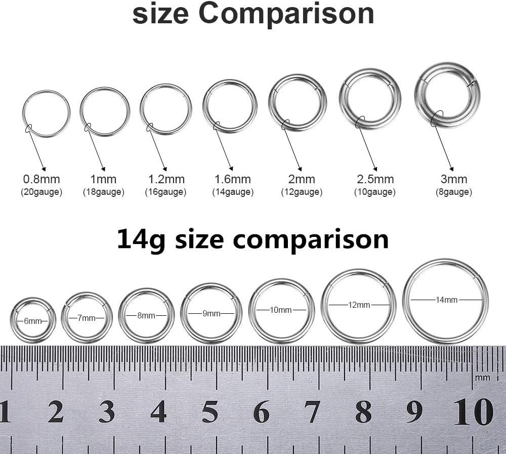 ORANGELOVE Hypoallergenic Nose Rings 20G 18G 16G 14G 12G 10G 8G 316l Surgical Steel Septum Jewelry Hinged Segment Ring Body Piercing Nose Hoop Lip Rings Nose Helix Cartilage Rook Earrings