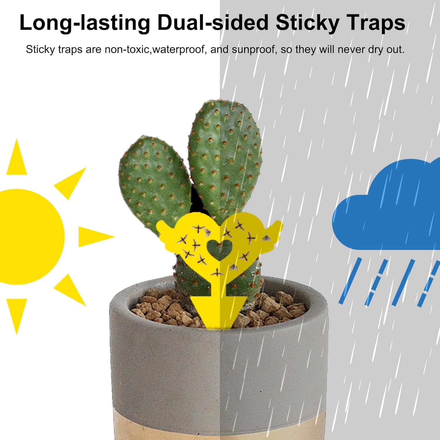 Fruit Fly Traps Fungus Gnat Traps Yellow Sticky Bug Traps 36 Pack No Harm and Odorless for Indoor Outdoor Use Protect The Plant
