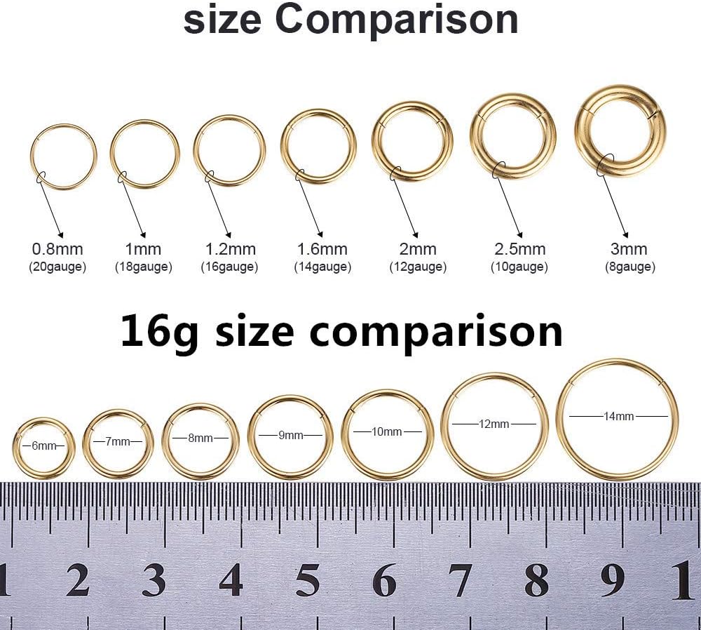 ORANGELOVE Hypoallergenic Nose Rings 20G 18G 16G 14G 12G 10G 8G 316l Surgical Steel Septum Jewelry Hinged Segment Ring Body Piercing Nose Hoop Lip Rings Nose Helix Cartilage Rook Earrings