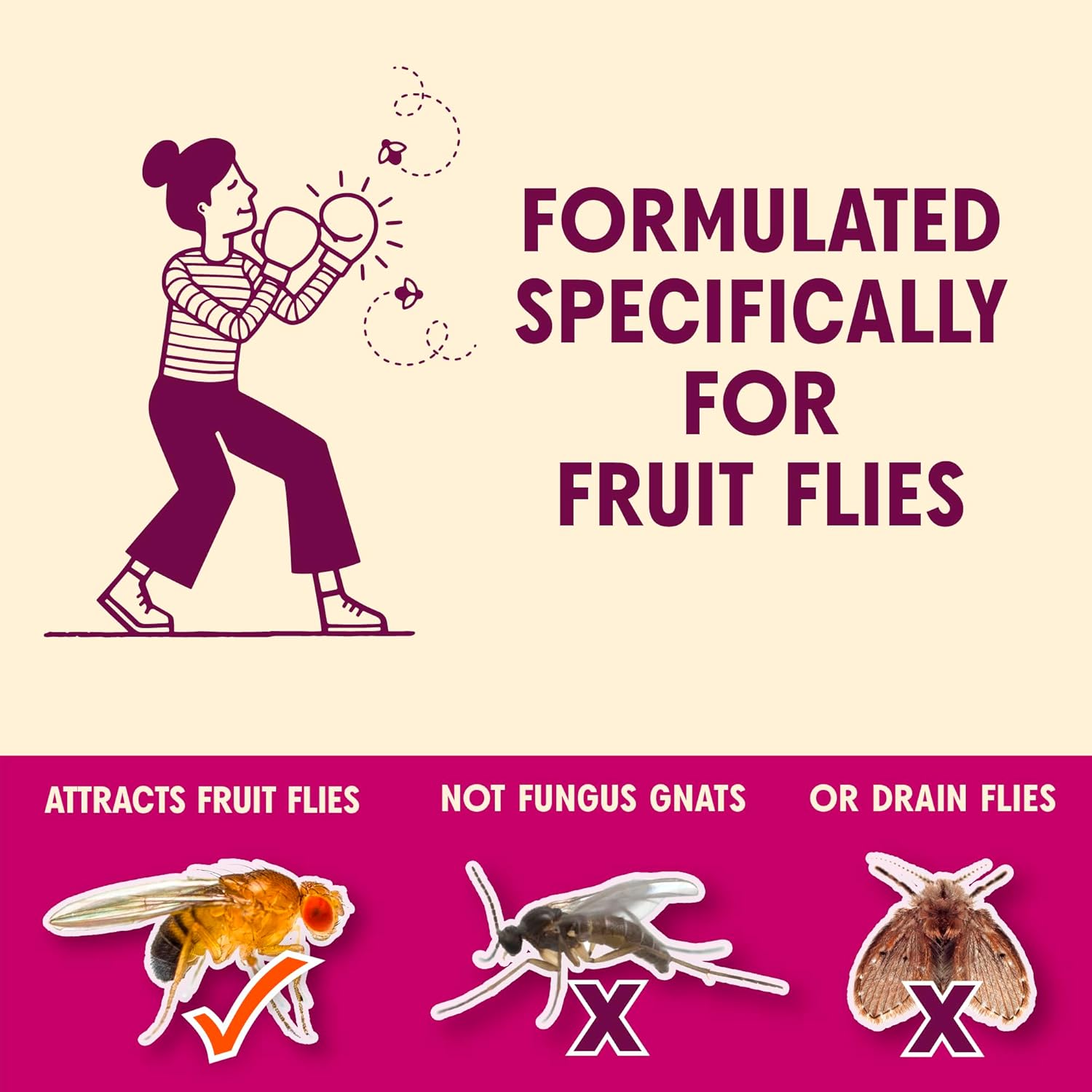 Aunt Fannie's FlyPunch Fruit Fly Trap for Indoor and Kitchen Use, Ready to Use, Made with Plant Based Ingredients, Safe Near Food, Each Bottle Lasts Up to 30 Days, Pack of 2