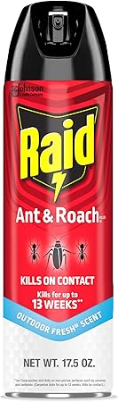 Raid Ant & Roach Killer Spray For Listed Bugs, Keeps Killing for Weeks, Fresh Scent, 17.5 oz