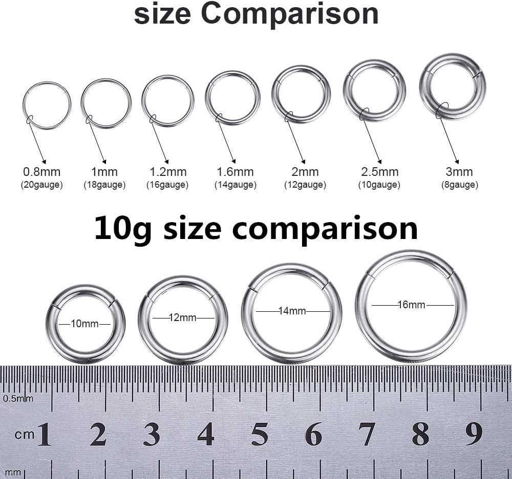 ORANGELOVE Hypoallergenic Nose Rings 20G 18G 16G 14G 12G 10G 8G 316l Surgical Steel Septum Jewelry Hinged Segment Ring Body Piercing Nose Hoop Lip Rings Nose Helix Cartilage Rook Earrings