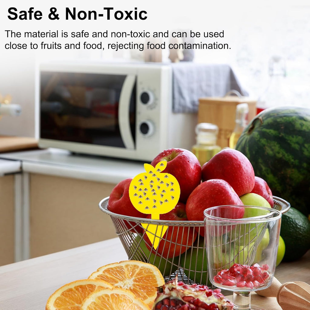 Fruit Fly Traps Fungus Gnat Traps Yellow Sticky Bug Traps 36 Pack No Harm and Odorless for Indoor Outdoor Use Protect The Plant