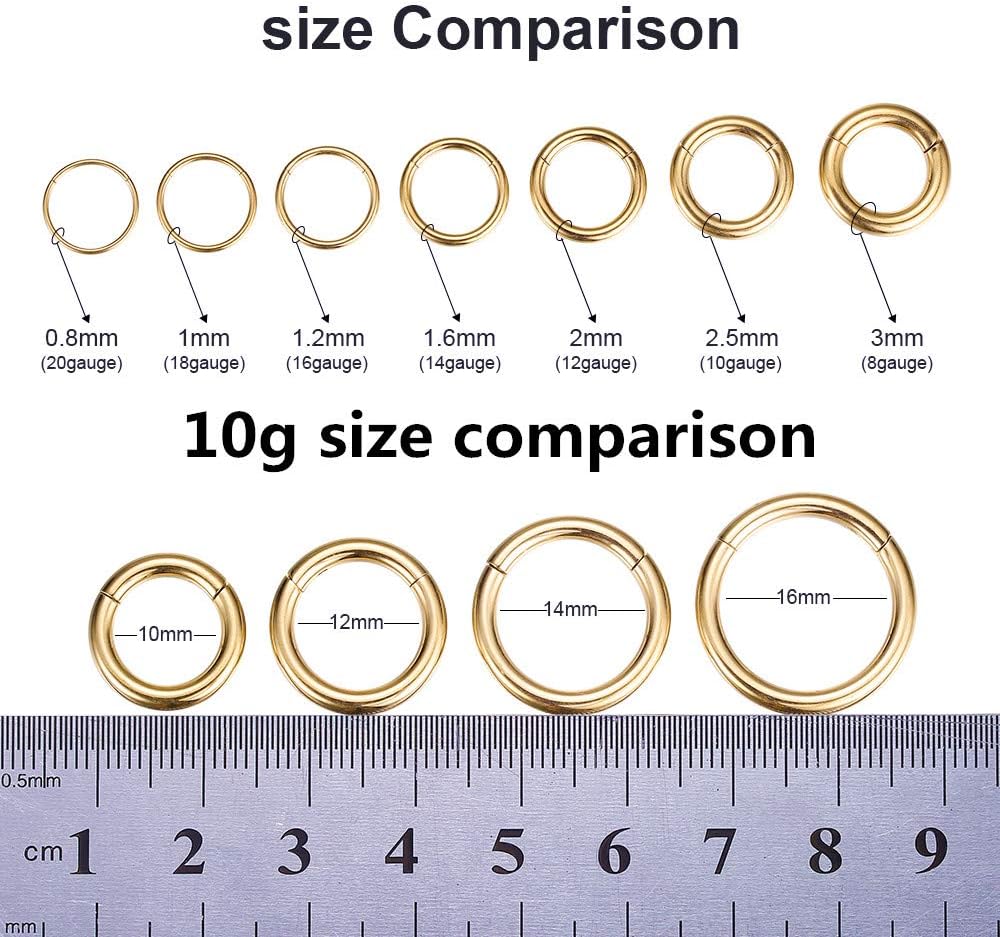 ORANGELOVE Hypoallergenic Nose Rings 20G 18G 16G 14G 12G 10G 8G 316l Surgical Steel Septum Jewelry Hinged Segment Ring Body Piercing Nose Hoop Lip Rings Nose Helix Cartilage Rook Earrings