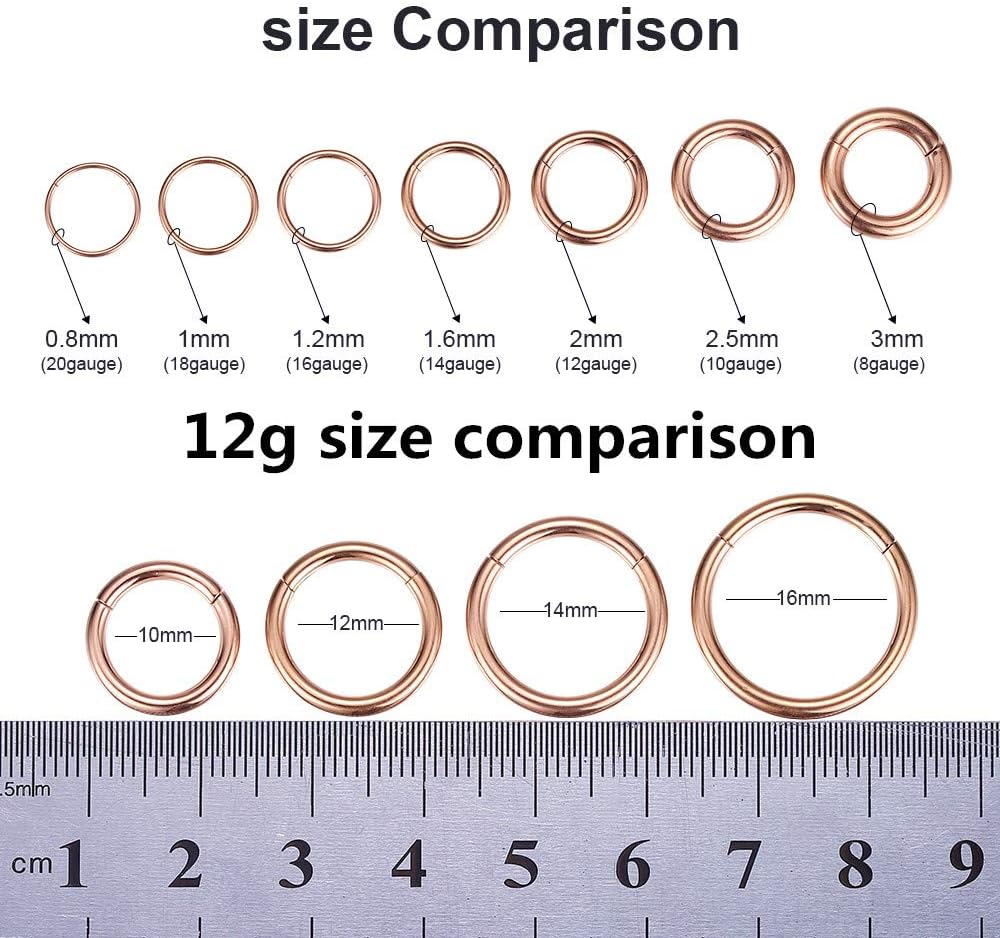 ORANGELOVE Hypoallergenic Nose Rings 20G 18G 16G 14G 12G 10G 8G 316l Surgical Steel Septum Jewelry Hinged Segment Ring Body Piercing Nose Hoop Lip Rings Nose Helix Cartilage Rook Earrings