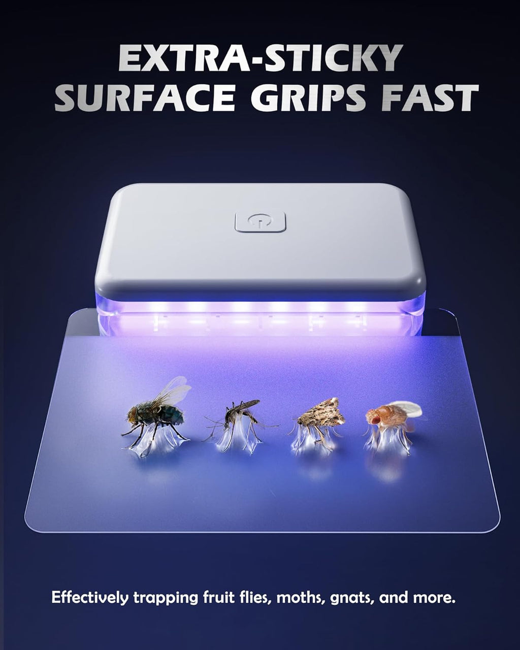 2 Pcs Fruit Fly Traps for Indoors (2 Device+10 Refills) Plug in UV Light Fly Trap for Gnats, Fruit Flies, Flying Insects Sleek Design Indoor Safe