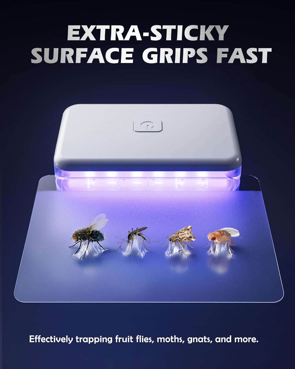 2 Pcs Fruit Fly Traps for Indoors (2 Device+10 Refills) Plug in UV Light Fly Trap for Gnats, Fruit Flies, Flying Insects Sleek Design Indoor Safe