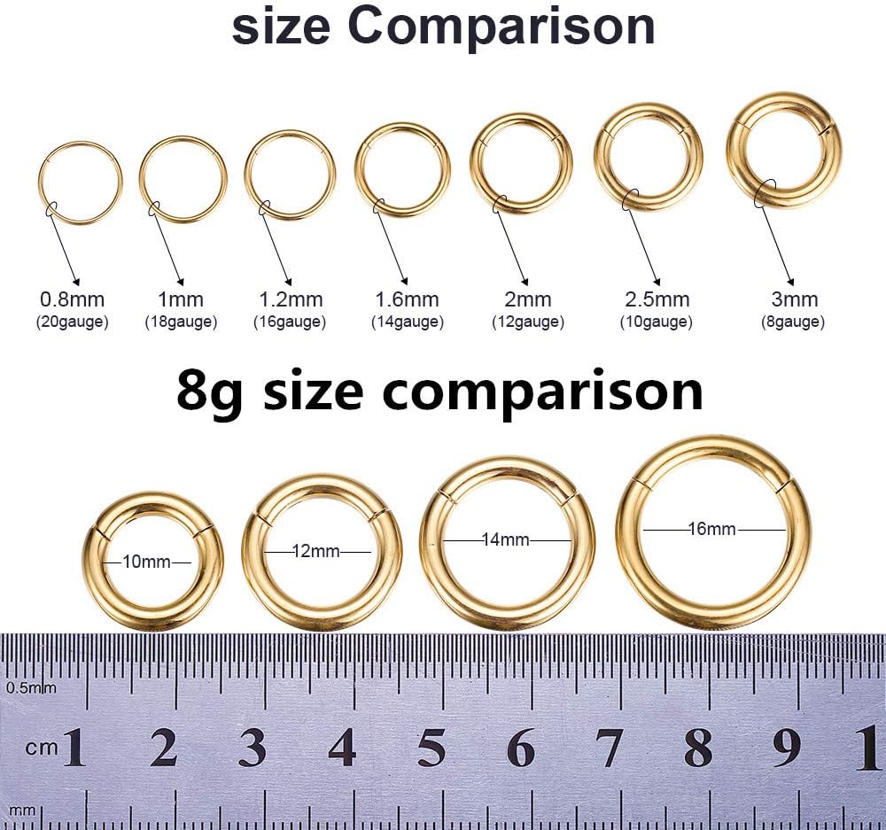 ORANGELOVE Hypoallergenic Nose Rings 20G 18G 16G 14G 12G 10G 8G 316l Surgical Steel Septum Jewelry Hinged Segment Ring Body Piercing Nose Hoop Lip Rings Nose Helix Cartilage Rook Earrings