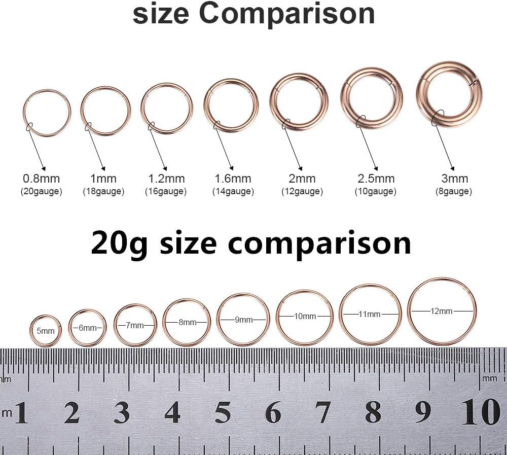 ORANGELOVE Hypoallergenic Nose Rings 20G 18G 16G 14G 12G 10G 8G 316l Surgical Steel Septum Jewelry Hinged Segment Ring Body Piercing Nose Hoop Lip Rings Nose Helix Cartilage Rook Earrings