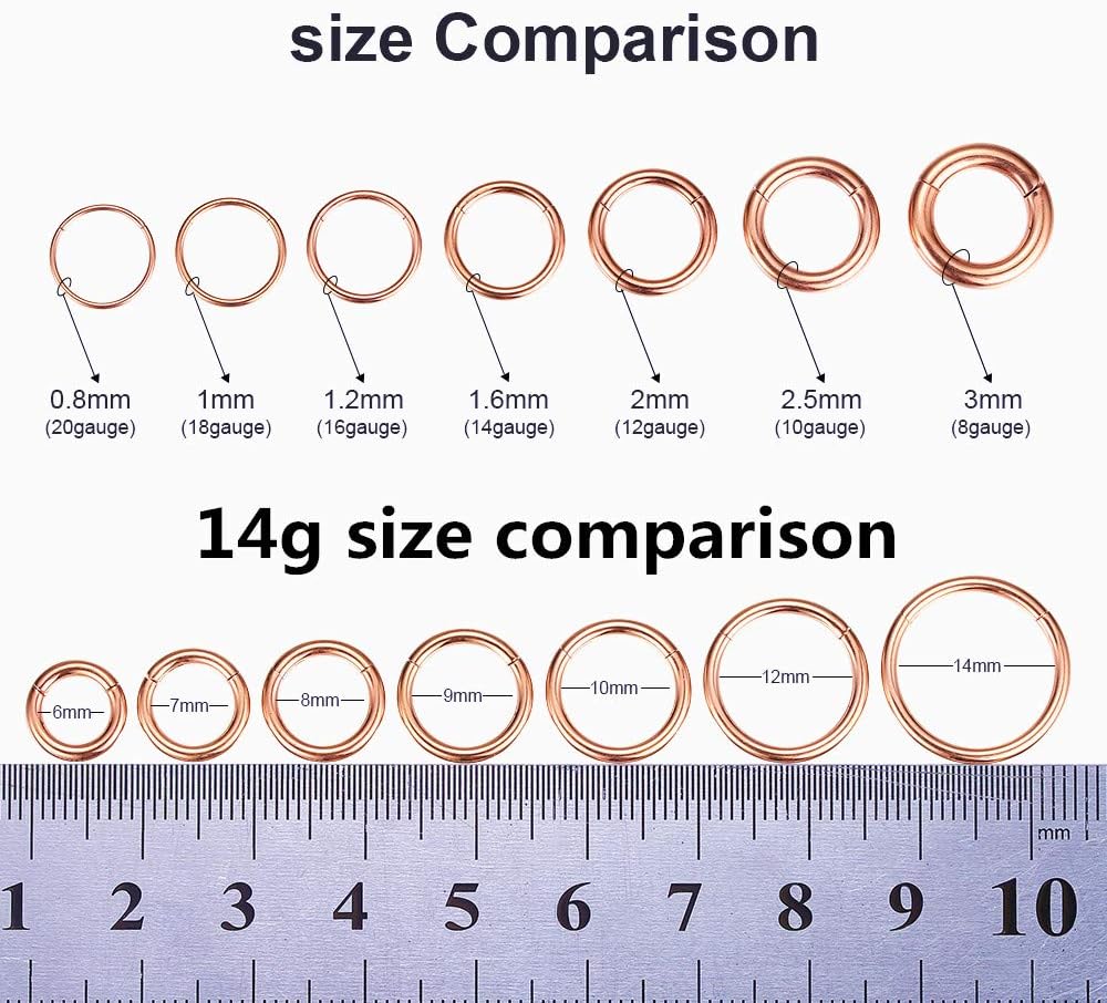 ORANGELOVE Hypoallergenic Nose Rings 20G 18G 16G 14G 12G 10G 8G 316l Surgical Steel Septum Jewelry Hinged Segment Ring Body Piercing Nose Hoop Lip Rings Nose Helix Cartilage Rook Earrings