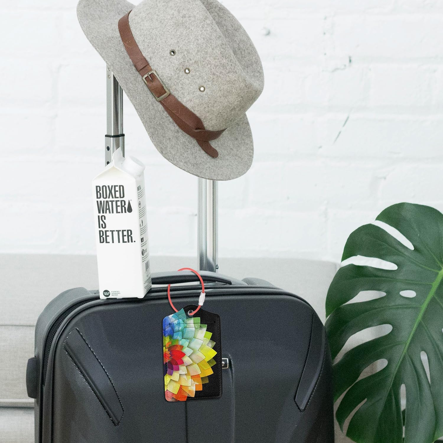 CooBigo 16 Pack Stainless Steel Loops 2mm Coated Wire Keychain Cable Large Keyrings 6 inch Key Chain for Luggage Tags, Key Tags, Keyrings, Kitchen utensils, Duster-Assorted Colors