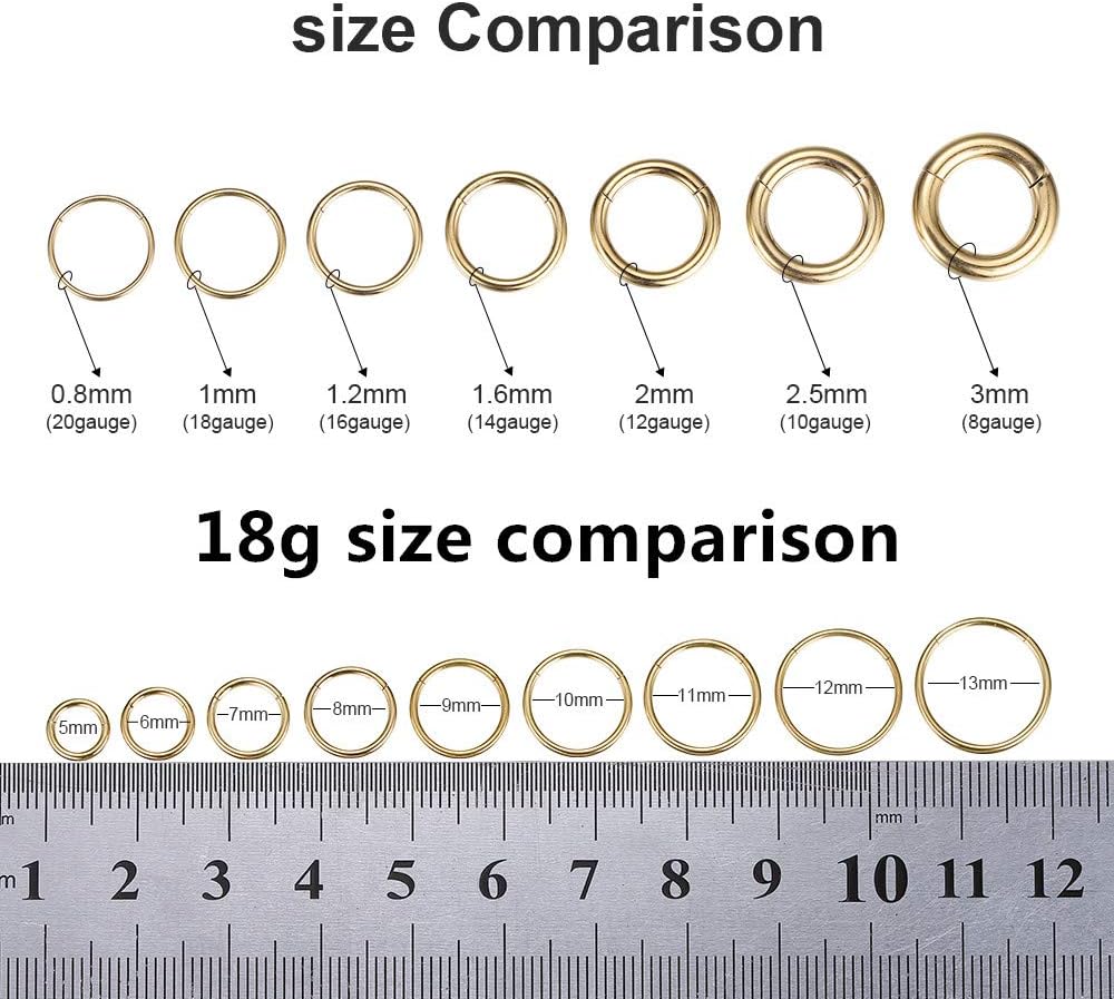 ORANGELOVE Hypoallergenic Nose Rings 20G 18G 16G 14G 12G 10G 8G 316l Surgical Steel Septum Jewelry Hinged Segment Ring Body Piercing Nose Hoop Lip Rings Nose Helix Cartilage Rook Earrings