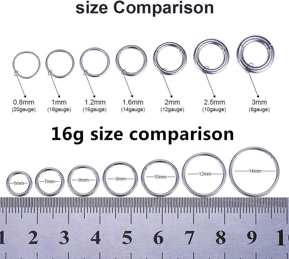 ORANGELOVE Hypoallergenic Nose Rings 20G 18G 16G 14G 12G 10G 8G 316l Surgical Steel Septum Jewelry Hinged Segment Ring Body Piercing Nose Hoop Lip Rings Nose Helix Cartilage Rook Earrings