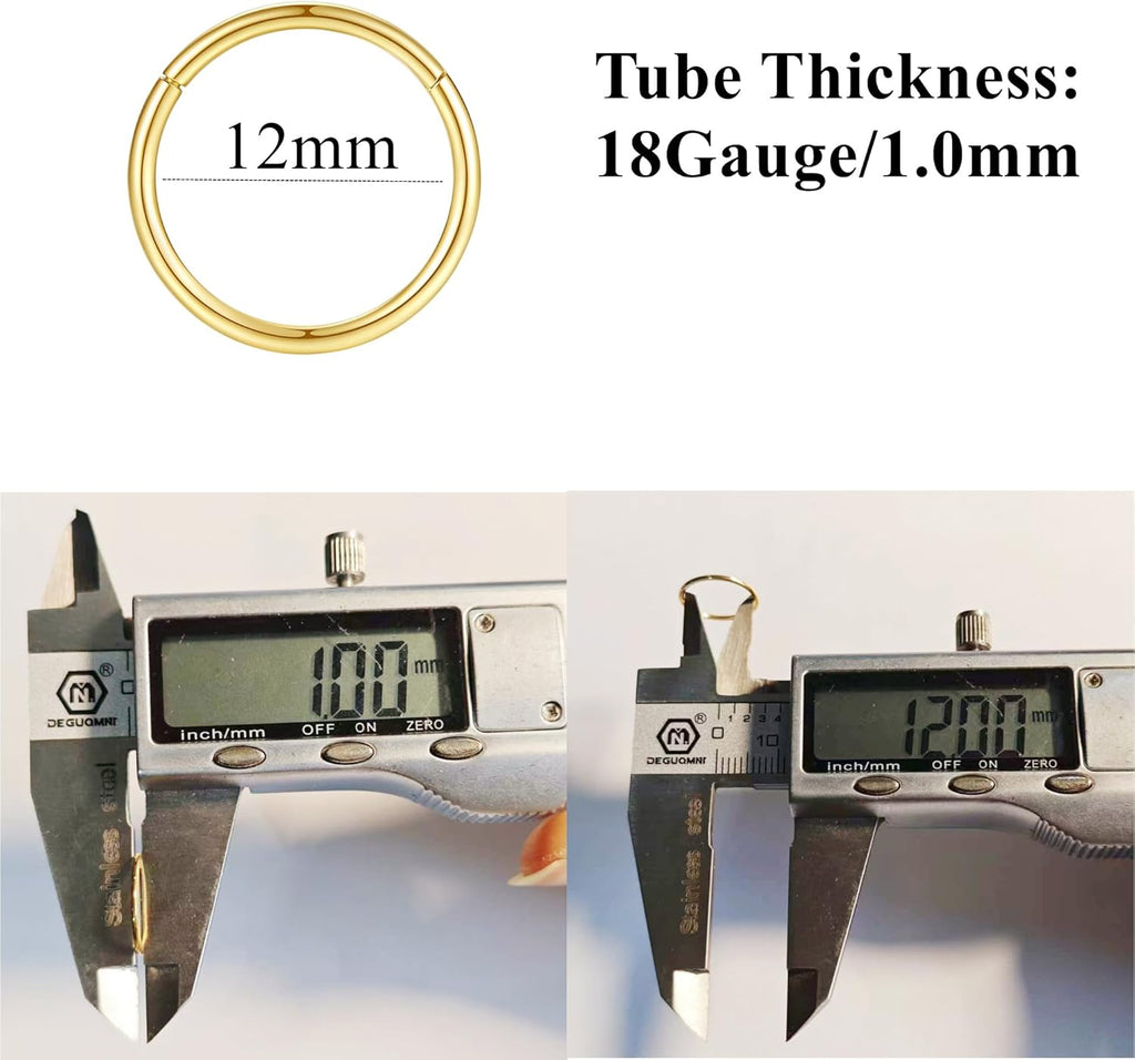 ORANGELOVE Hypoallergenic Nose Rings 20G 18G 16G 14G 12G 10G 8G 316l Surgical Steel Septum Jewelry Hinged Segment Ring Body Piercing Nose Hoop Lip Rings Nose Helix Cartilage Rook Earrings