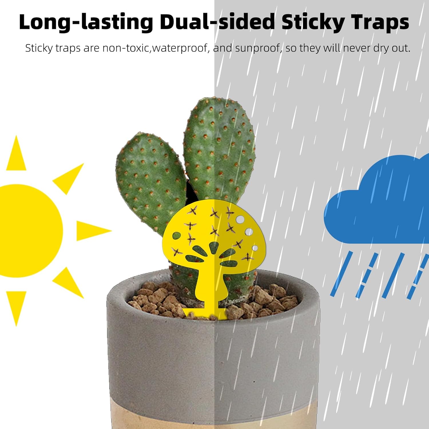 Fruit Fly Traps Fungus Gnat Traps Yellow Sticky Bug Traps 36 Pack No Harm and Odorless for Indoor Outdoor Use Protect The Plant