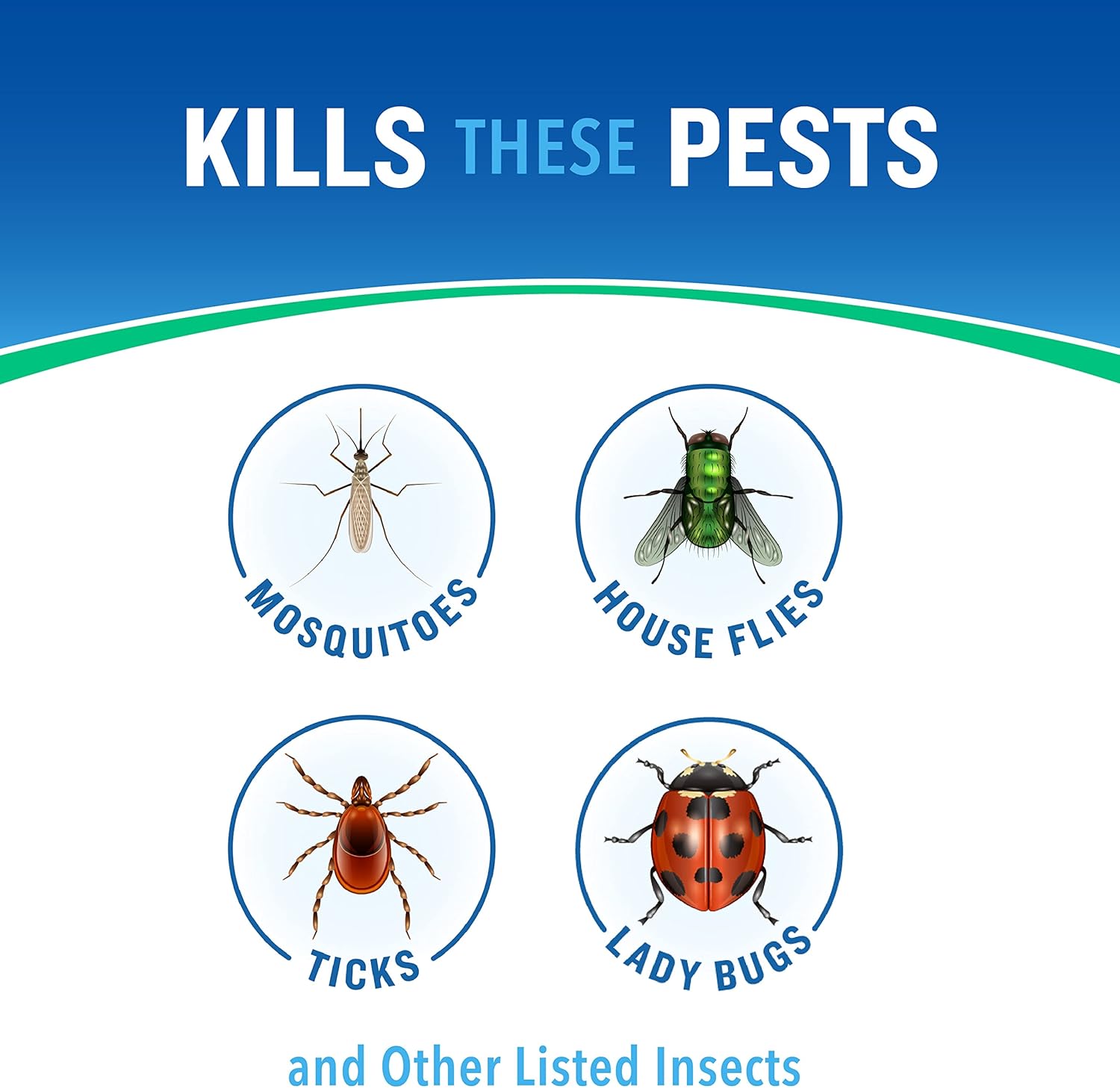 Cutter Backyard Bug Control Spray Concentrate (2 Pack), Kills Mosquitoes, Fleas & Listed Ants, 32 fl Ounce