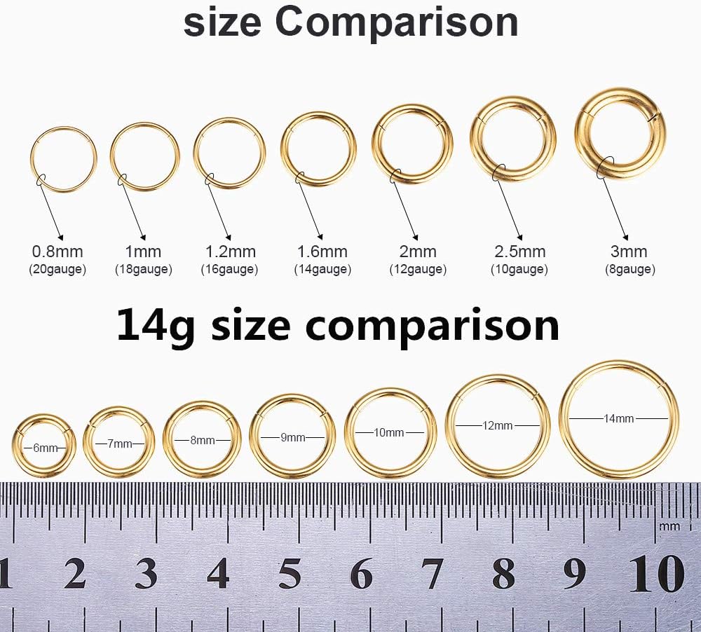 ORANGELOVE Hypoallergenic Nose Rings 20G 18G 16G 14G 12G 10G 8G 316l Surgical Steel Septum Jewelry Hinged Segment Ring Body Piercing Nose Hoop Lip Rings Nose Helix Cartilage Rook Earrings