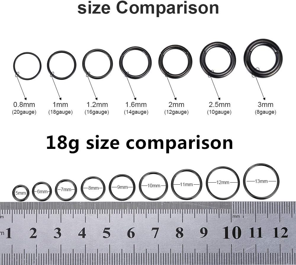 ORANGELOVE Hypoallergenic Nose Rings 20G 18G 16G 14G 12G 10G 8G 316l Surgical Steel Septum Jewelry Hinged Segment Ring Body Piercing Nose Hoop Lip Rings Nose Helix Cartilage Rook Earrings