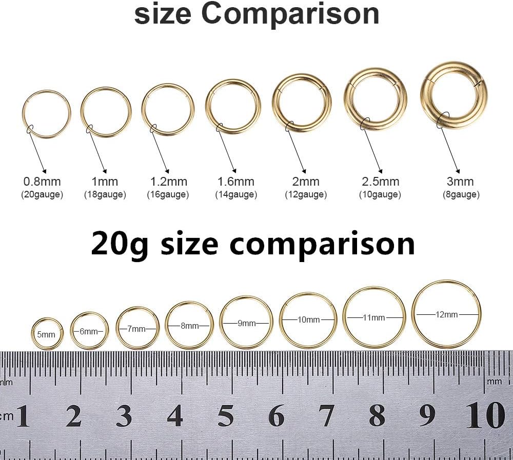 ORANGELOVE Hypoallergenic Nose Rings 20G 18G 16G 14G 12G 10G 8G 316l Surgical Steel Septum Jewelry Hinged Segment Ring Body Piercing Nose Hoop Lip Rings Nose Helix Cartilage Rook Earrings