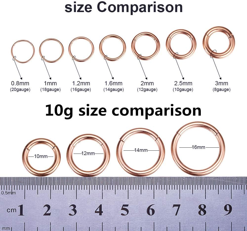 ORANGELOVE Hypoallergenic Nose Rings 20G 18G 16G 14G 12G 10G 8G 316l Surgical Steel Septum Jewelry Hinged Segment Ring Body Piercing Nose Hoop Lip Rings Nose Helix Cartilage Rook Earrings