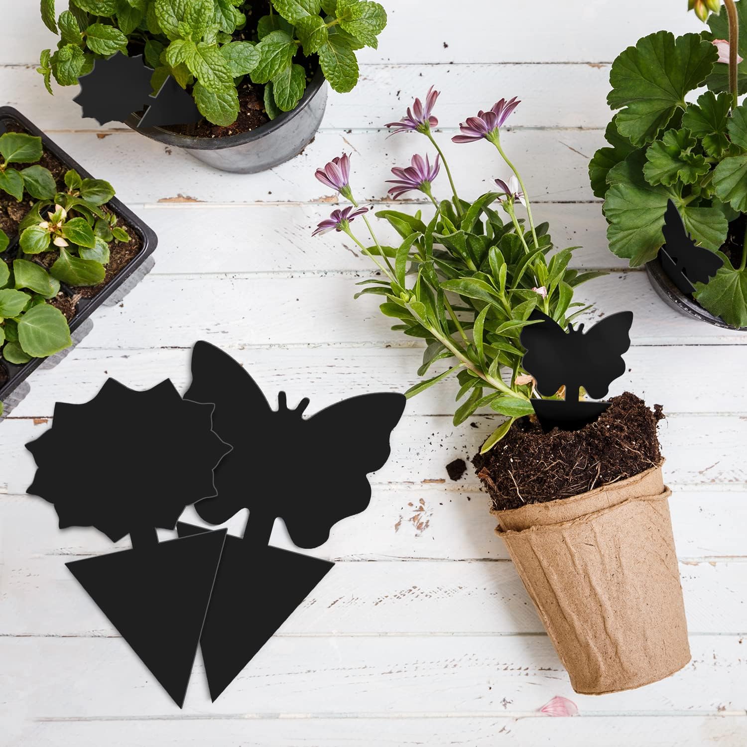 Landisun Fruit Fly Traps 48PCS Fungus Gnat-Traps for Indoor-Outdoor Yellow Fruit-Fly Sticky-Trap Plants Flying Bug Insects Traps