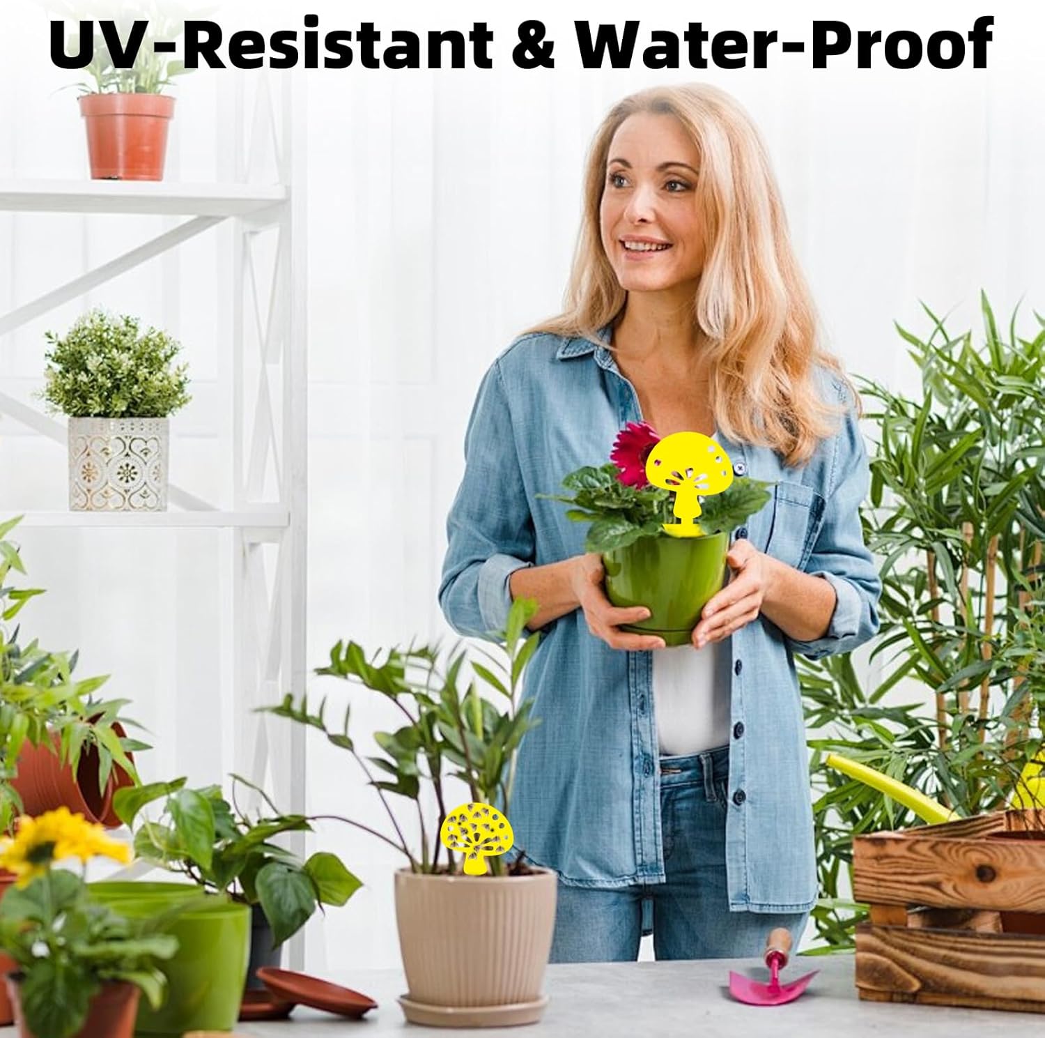 Fruit Fly Traps Fungus Gnat Traps Yellow Sticky Bug Traps 36 Pack No Harm and Odorless for Indoor Outdoor Use Protect The Plant