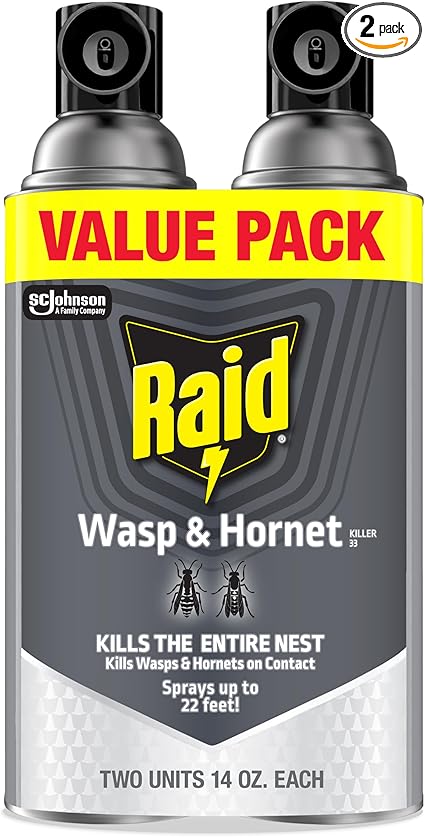 Raid Wasp & Hornet Killer Spray, Bug Killer Kills the Entire Nest, 14 Oz, 2 Count