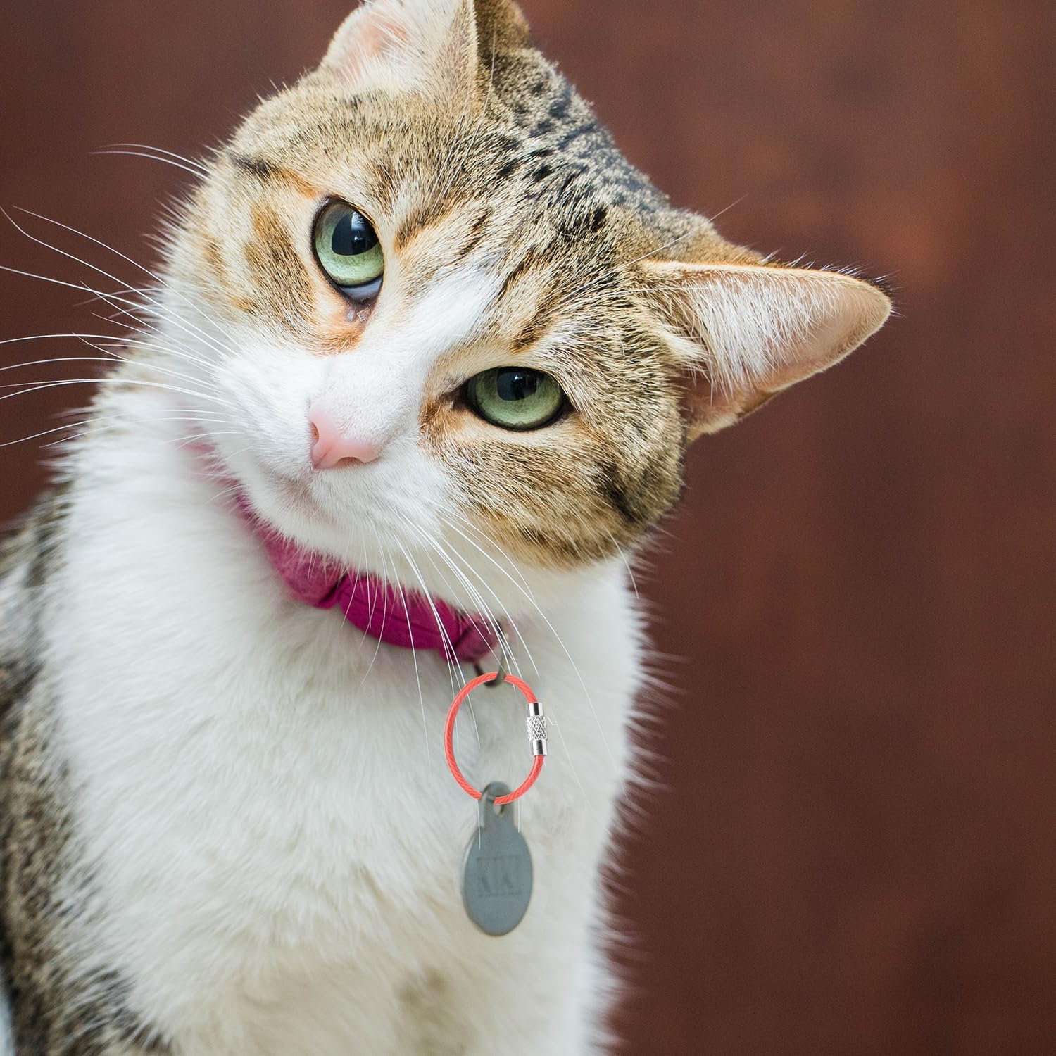 CooBigo 16 Pack Stainless Steel Loops 2mm Coated Wire Keychain Cable Large Keyrings 6 inch Key Chain for Luggage Tags, Key Tags, Keyrings, Kitchen utensils, Duster-Assorted Colors