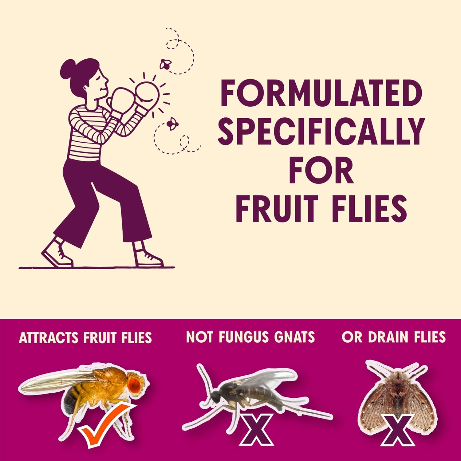 Aunt Fannie's FlyPunch Fruit Fly Trap for Indoor and Kitchen Use, Ready to Use, Made with Plant Based Ingredients, Safe Near Food, Each Bottle Lasts Up to 30 Days, Pack of 2