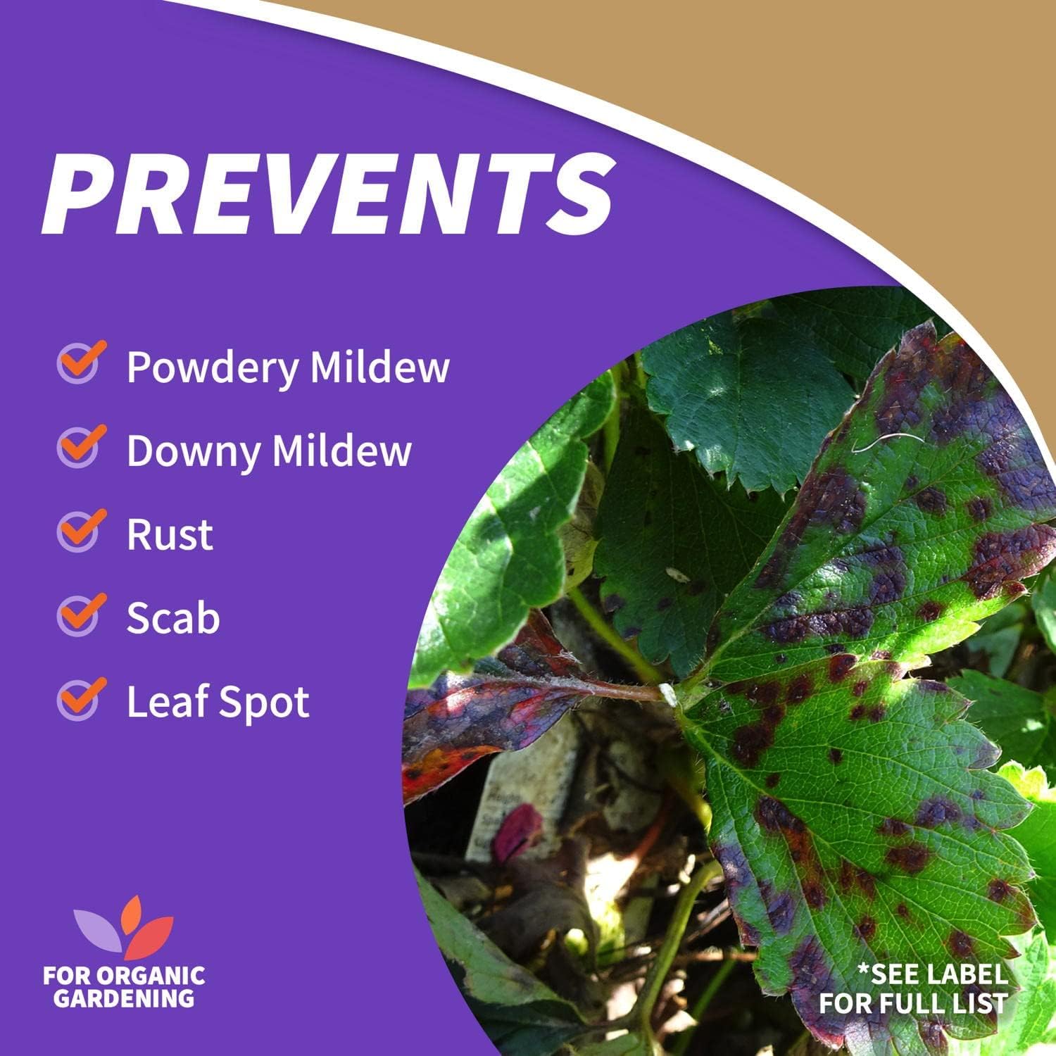 Bonide Captain Jack's Neem Oil, 32 oz Ready-to-Use Spray, Multi-Purpose Fungicide, Insecticide and Miticide for Organic Gardening