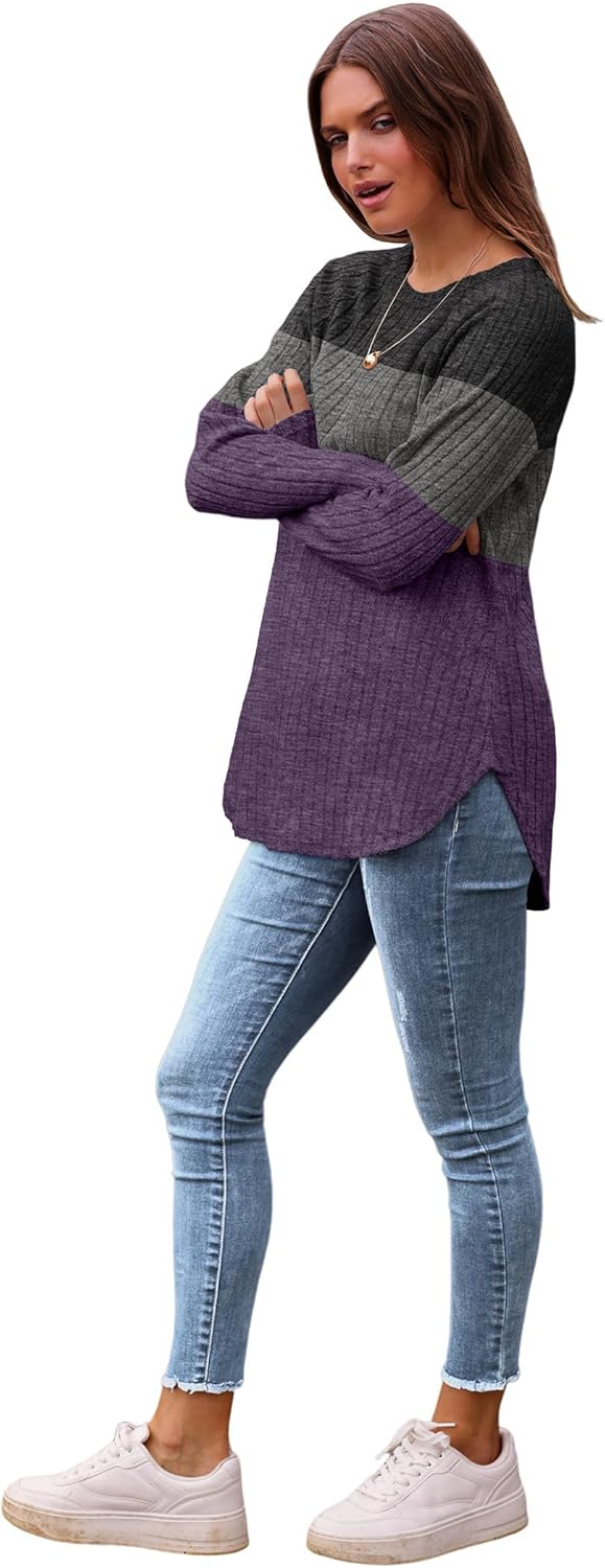 Saloogoe Long Sleeve Shirts for Women 2025 Fall Clothes Tunic Tops Loose Fit Dressy Crewneck Pullover Sweaters Curved Hem