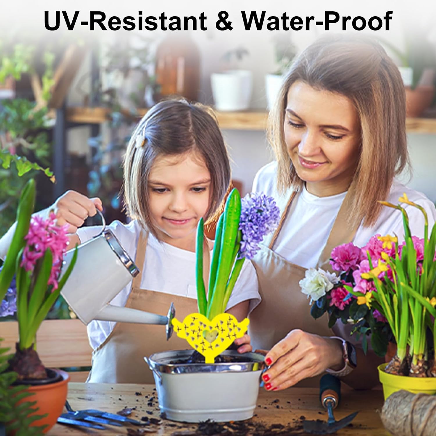 Fruit Fly Traps Fungus Gnat Traps Yellow Sticky Bug Traps 36 Pack No Harm and Odorless for Indoor Outdoor Use Protect The Plant