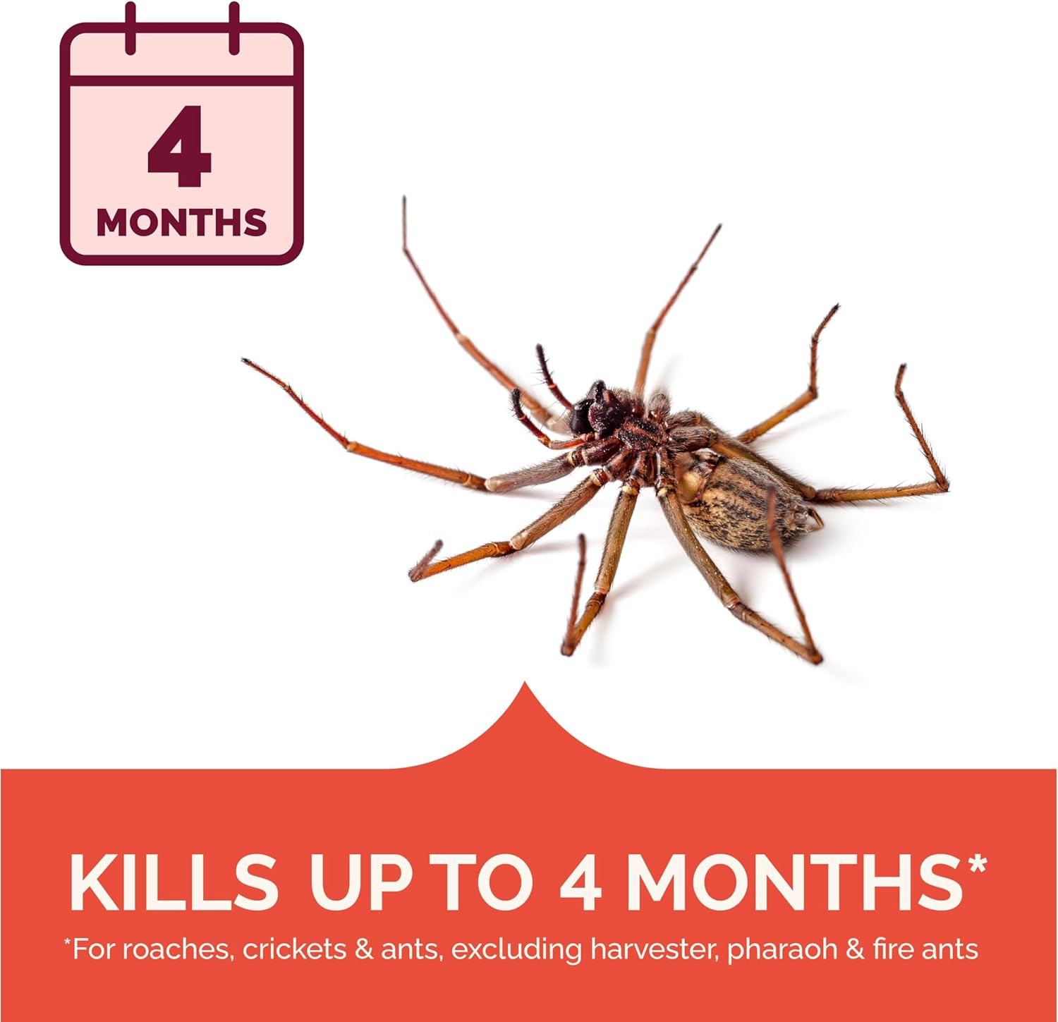 Hot Shot Ant, Roach & Spider Killer, Kills Insects Indoors and Outdoors, Kills Roaches and Listed Ants on Contact, Insecticide Spray, 17.5 Ounce (Crisp Linen)