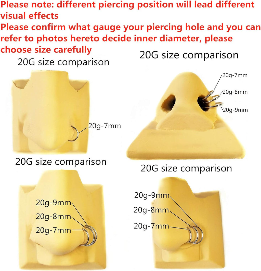 ORANGELOVE Hypoallergenic Nose Rings 20G 18G 16G 14G 12G 10G 8G 316l Surgical Steel Septum Jewelry Hinged Segment Ring Body Piercing Nose Hoop Lip Rings Nose Helix Cartilage Rook Earrings