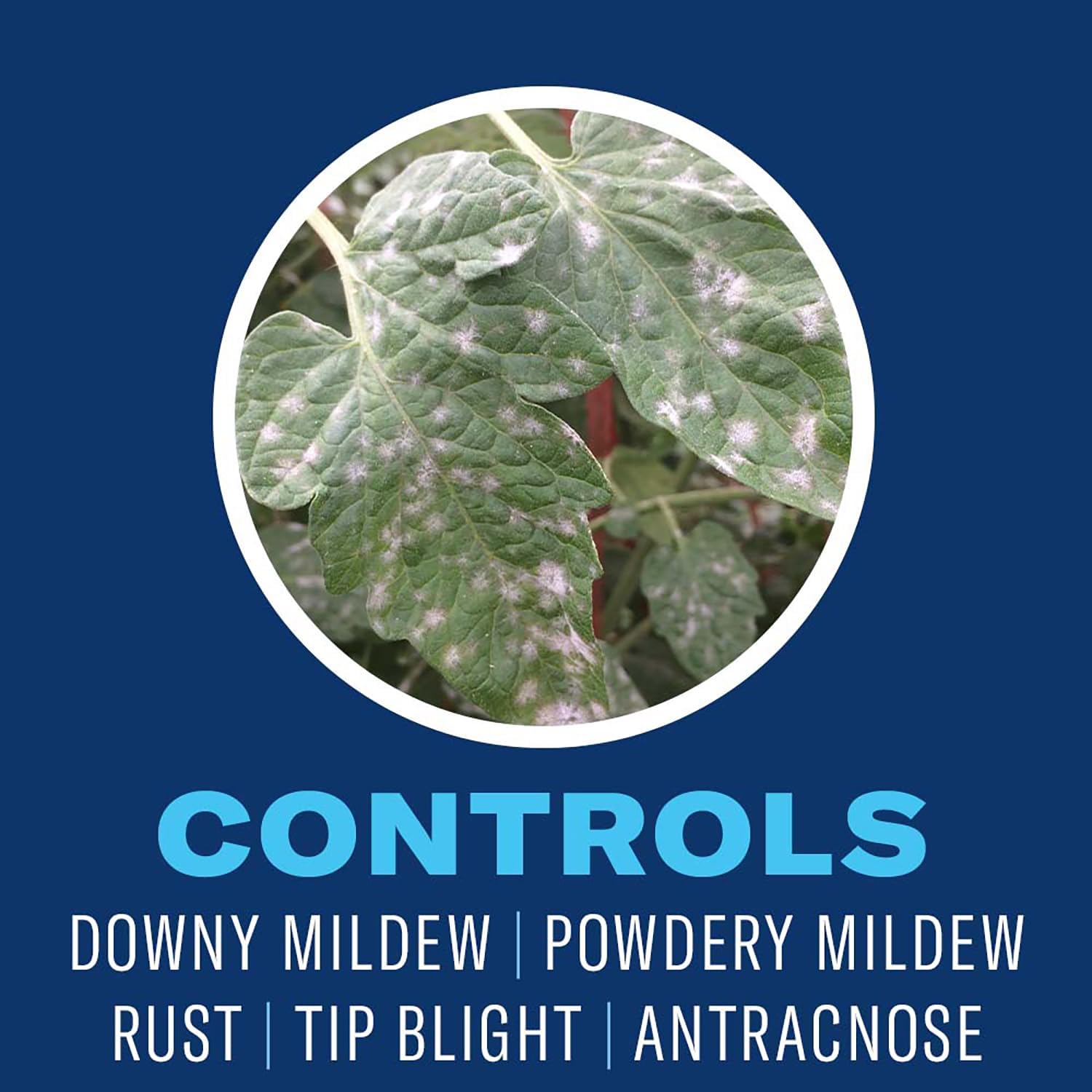 BioAdvanced Organics Brand Neem Oil, Ready-to-Use, 24 oz