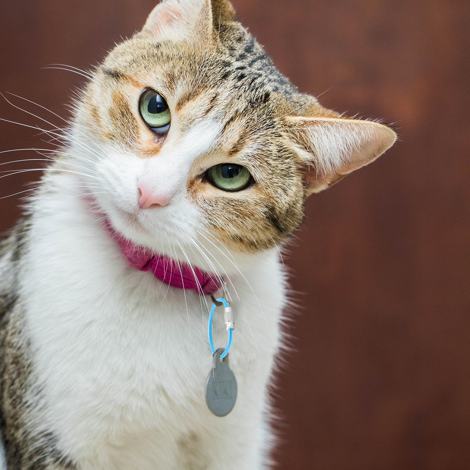 CooBigo 16 Pack Stainless Steel Loops 2mm Coated Wire Keychain Cable Large Keyrings 6 inch Key Chain for Luggage Tags, Key Tags, Keyrings, Kitchen utensils, Duster-Assorted Colors