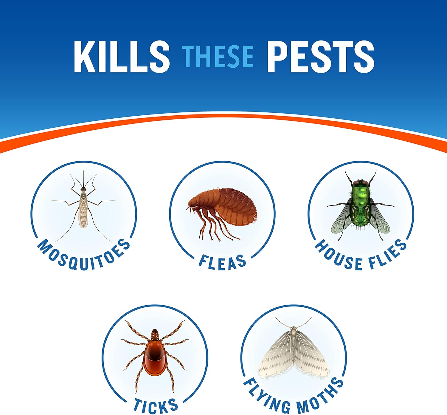 Cutter Backyard Bug Control Spray Concentrate (2 Pack), Kills Mosquitoes, Fleas & Listed Ants, 32 fl Ounce