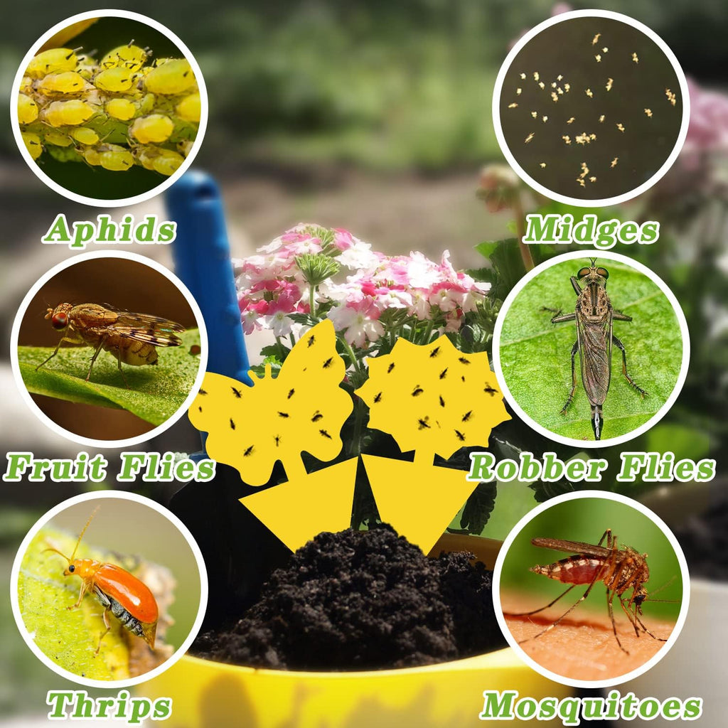 Landisun Fruit Fly Traps 48PCS Fungus Gnat-Traps for Indoor-Outdoor Yellow Fruit-Fly Sticky-Trap Plants Flying Bug Insects Traps
