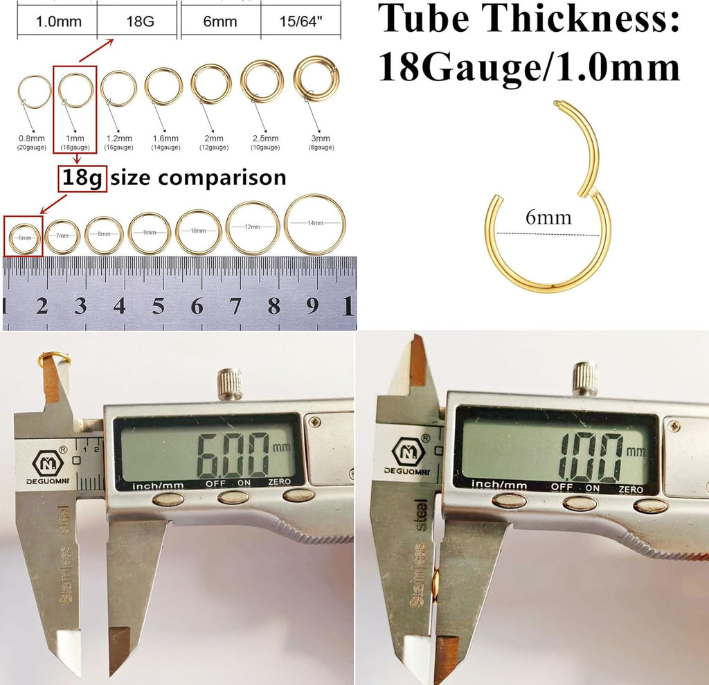 ORANGELOVE Hypoallergenic Nose Rings 20G 18G 16G 14G 12G 10G 8G 316l Surgical Steel Septum Jewelry Hinged Segment Ring Body Piercing Nose Hoop Lip Rings Nose Helix Cartilage Rook Earrings